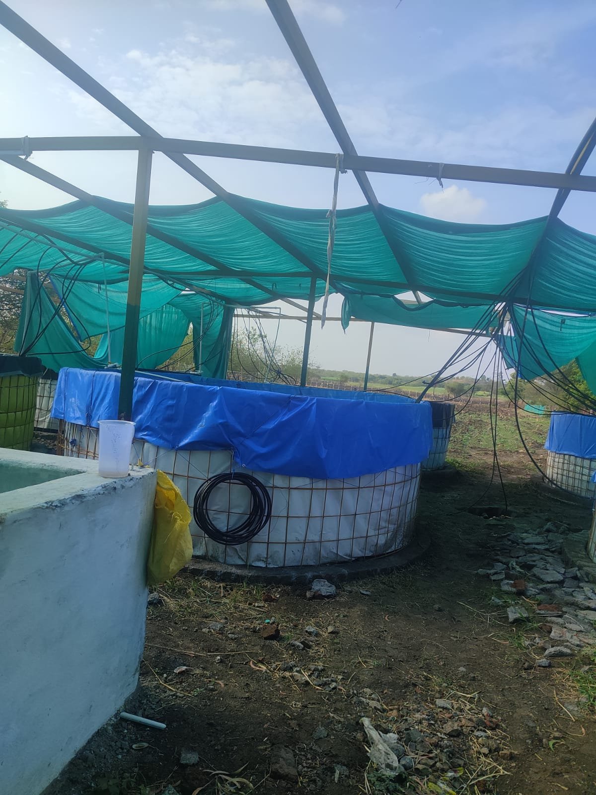 gallery_111694_20251017144709