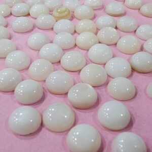 Half Round MOP Shell Nucleus