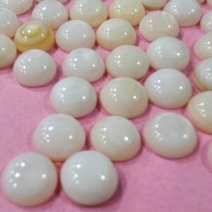 Half Round Mop Shell Nucleus