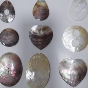 Mother OF Pearl Sea Shells